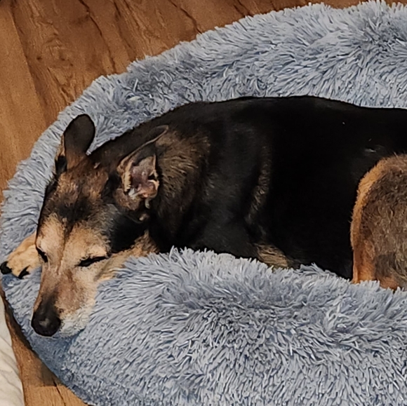 Accepting REASONABLE Offers! - Picture 4 of 7